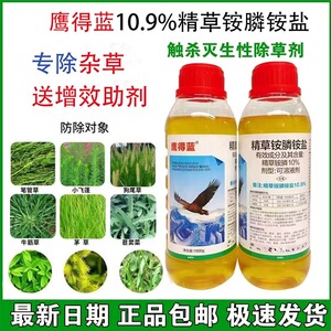 鹰德蓝精草铵磷铵盐正品强力除草烂根剂果园茶园田埂甘胺铵膦农药