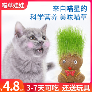 营养猫草娃娃可爱草头娃懒人猫草罐头去毛球助消化水培植物猫零食