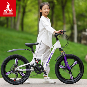 凤凰镁合金儿童自行车8-10-14岁女孩男孩学生20寸高端脚踏山地车