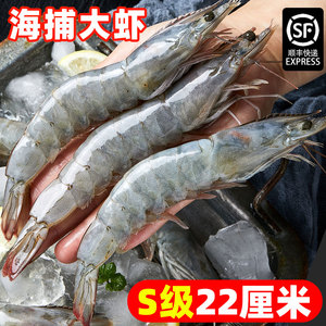 大虾鲜活超大白虾特大厄瓜多尔冷冻鲜对虾速冻海虾虾类海鲜水产虾