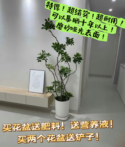 北欧风简约高档树脂花盆客厅办公室月季天堂鸟龟背竹鸭脚木大花盆