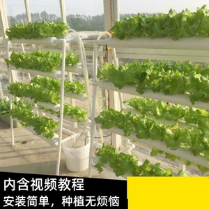 阳台无土栽培多层花架LED植物补光灯智能种菜机蔬菜种植水培种菜