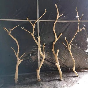 干树枝原木杈天然干枝枯枝枯木树干鸟架造型壁挂衣架吊顶树枝装饰