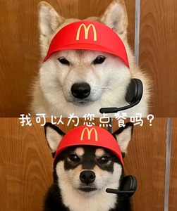 【现货秒发】同款麦当劳的小帽子对讲机收银员玩具狗狗宠物耳麦