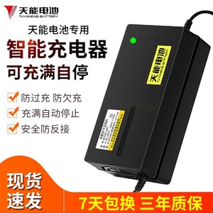 天能自动断电电动车电瓶充电器48V12AH60V20AH72V32A爱玛雅迪三轮