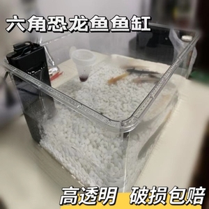 六角恐龙鱼的鱼缸蝾螈宠物专用饲养箱生态亚克力透明乌龟缸小螃蟹