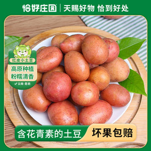 【恰好庄园 】云南红皮小土豆3斤新鲜蔬菜包邮现挖