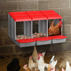 鸡窝下蛋窝防雨塑料连排壁挂小房子家用户外散养土母鸡生蛋引蛋箱