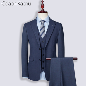 Ceiaon Kaenu格子藏蓝色西装套装男高端商务正装春季婚礼小西服男