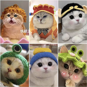 猫咪帽子露耳朵女仆猫喇叭花太阳帽宠物猫咪可爱头套英短帽子变装