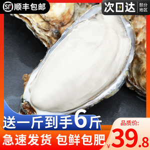 乳山生蚝鲜活5斤牡蛎新鲜海鲜水产海产海蛎子10商用整箱批发顺丰