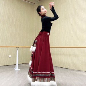 藏族舞蹈演出服装女广场舞套装上衣半身裙艺考练习大摆裙藏族服装
