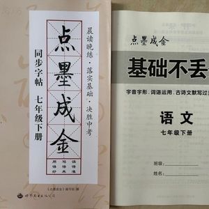 2024年新版 点墨成金初中语文同步字帖七年级下册语文