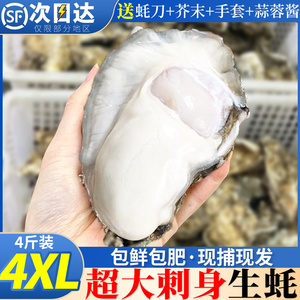 乳山生蚝鲜活10新鲜特大5斤海蛎子海鲜牡蛎水产金蚝整箱商用批发1