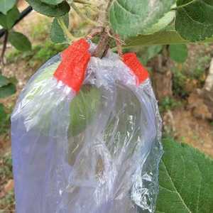 水果套袋防鸟防虫透气专用网袋葡萄无花果枇杷草莓杨桃子保护袋子