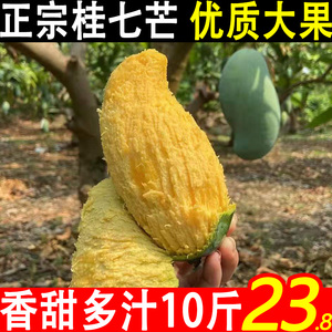 广西桂七芒果9斤应当季百色田东青皮桂7芒果新鲜水果现摘整箱