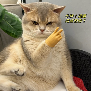 猫咪小手套比耶搞怪可爱小手指手套弹力逗猫戴摆造型搞怪整蛊道具