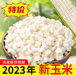 广西忻城糯玉米头白珍珠玉米粒干玉米脱皮煮粥糖水玉米碴子小颗粒