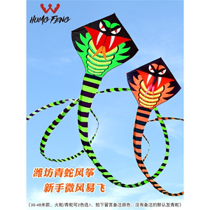 青蛇风筝高档大人专用大型长尾蛇儿儿童卡通微风易飞新手潍坊新款