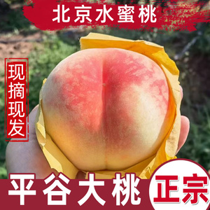 桃子正宗北京市平谷大桃春雪水蜜桃脆甜多汁精品礼盒当季孕妇水果