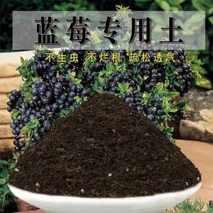 蓝莓专用土蓝莓酸性土壤通用营养土家用室内盆栽泥种植土有机肥料