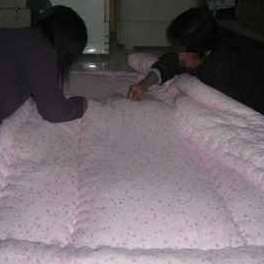 新品春秋小床垫被子3斤4棉花被芯薄棉絮儿童幼儿园12米15单人冬被