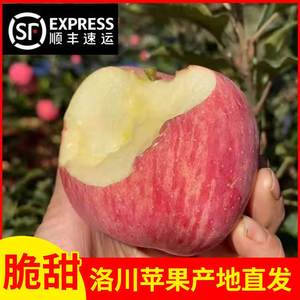 陕西洛川苹果水果新鲜10斤带箱现摘红富士整箱大野生