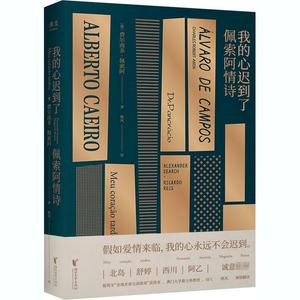 我的心迟到了 佩索阿情诗 佩索阿情诗集 诗歌 爱情 情诗 外国文学 经典 北岛 舒婷 西川 阿乙推荐 小嘉推荐