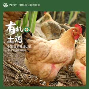 【新品】有机土鸡®九华山深山放养有机养殖老母鸡走地鸡900g