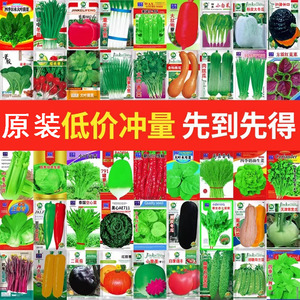 蔬菜种子四季播种阳台农家盆栽香菜菠菜生菜韭菜小葱草莓籽孑大全