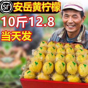 四川安岳黄柠檬新鲜水果当季整箱皮薄一级无籽奶茶店专用酸柃林宁