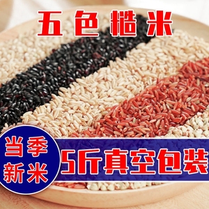 糖友控糖尿老人专用零食品五色糙米当季新米黑米红米玄米荞麦米