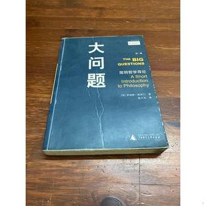 正版二手大问题：简明哲学导论[美]所罗门广西师范大学出版社