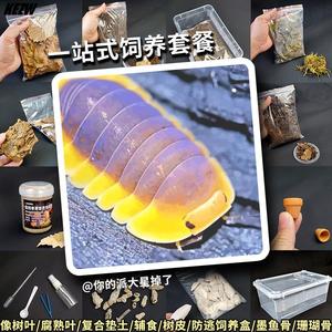 鼠妇西瓜虫饲养套餐垫材昆虫爬宠学生实验橡树枯叶饲料柠檬蓝鸭仔