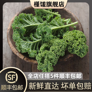 【槿馐】羽衣甘蓝500g 新鲜蔬菜嫩叶甘兰kale健身榨汁5件包邮
