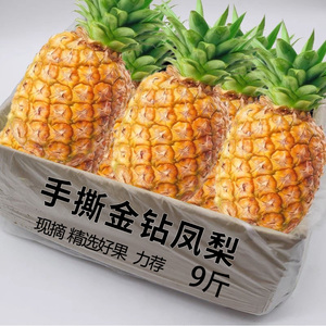 海南金钻凤梨新鲜水果当季应季正宗一级菠萝手撕10斤大果整箱特产