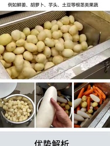 全自动商用小型土豆脱皮机马铃薯胡萝卜芋头猪蹄毛刷清洗机