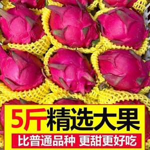 【精品】红心火龙果超甜新鲜应季热带水果海南金都一号红肉