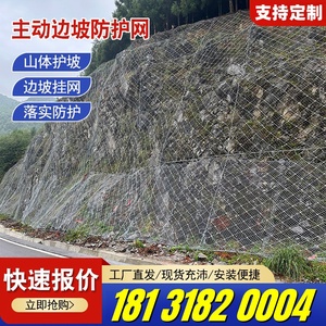 主动边坡防护网柔性钢丝绳网山体落石拦截网护坡固土网环形被动网