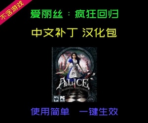 爱丽丝：疯狂回归 Steam中文补丁汉化包 支持正版 不含游戏