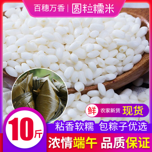 东北圆粒糯米10斤农家新米软糯粘大米酿酒包粽子原料黏米江米5斤