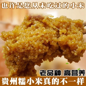 贵州黄平糯小米软糯高黏度新米做小米渣小米鲊粉蒸肉扣肉包粽子