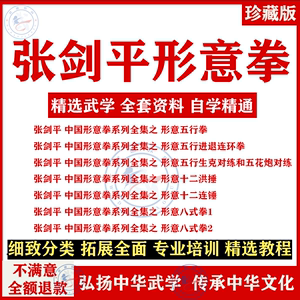 张剑平形意拳视频教程五行拳连环拳十二洪捶八式拳形意拳教学课程