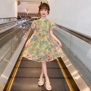 韩国女童连衣裙夏装新款儿童网红薄款网纱裙小女孩夏季洋气公主裙