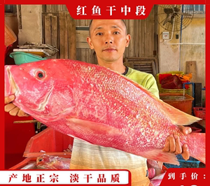 红鱼干干货淡干海南儋州红鱼干海鲜干货特级土特产深海咸鱼干中段