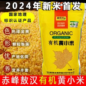 孟克河2024年赤峰农家黄小米新米熬粥油小米糯五谷杂粮食品敖汉米