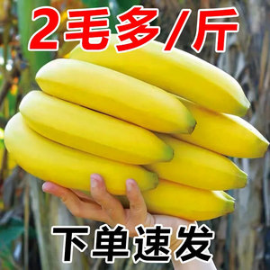 云南高山香蕉10斤新鲜水果当季现摘大芭蕉小米蕉甜香蕉整箱自然熟