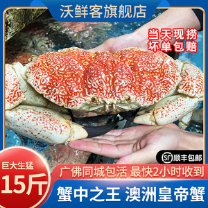 【同城闪送包活】澳洲皇帝蟹鲜活海鲜水产帝王蟹4-15斤超特大螃蟹