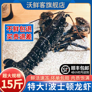 波士顿龙虾特大鲜活冷冻法国蓝波龙虾15斤超大龙虾海鲜水产10龙虾