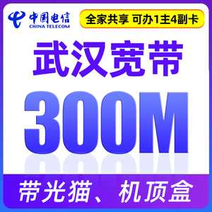 湖北武汉电信融合宽带套餐新安装办理300M可办4张免费副卡
